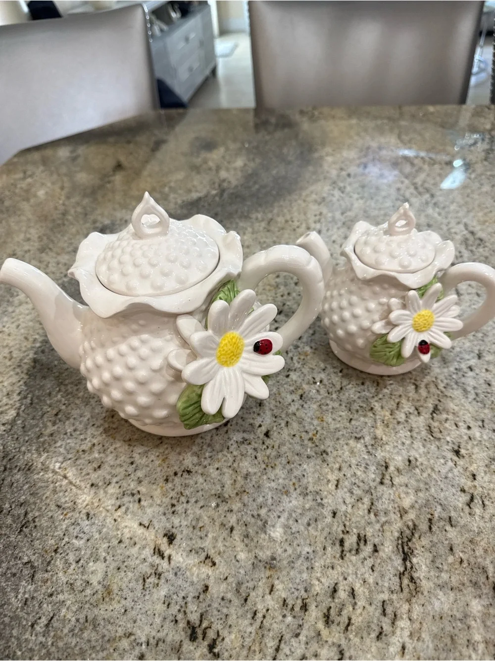 Vintage Daisy ladybug Tea set cottage core mini teapot salt pepper set decor